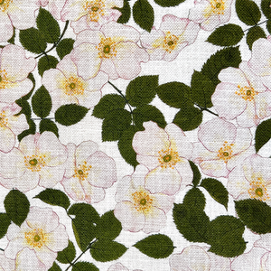 Field Rosa Fabric SAMPLE | Colour: Natural