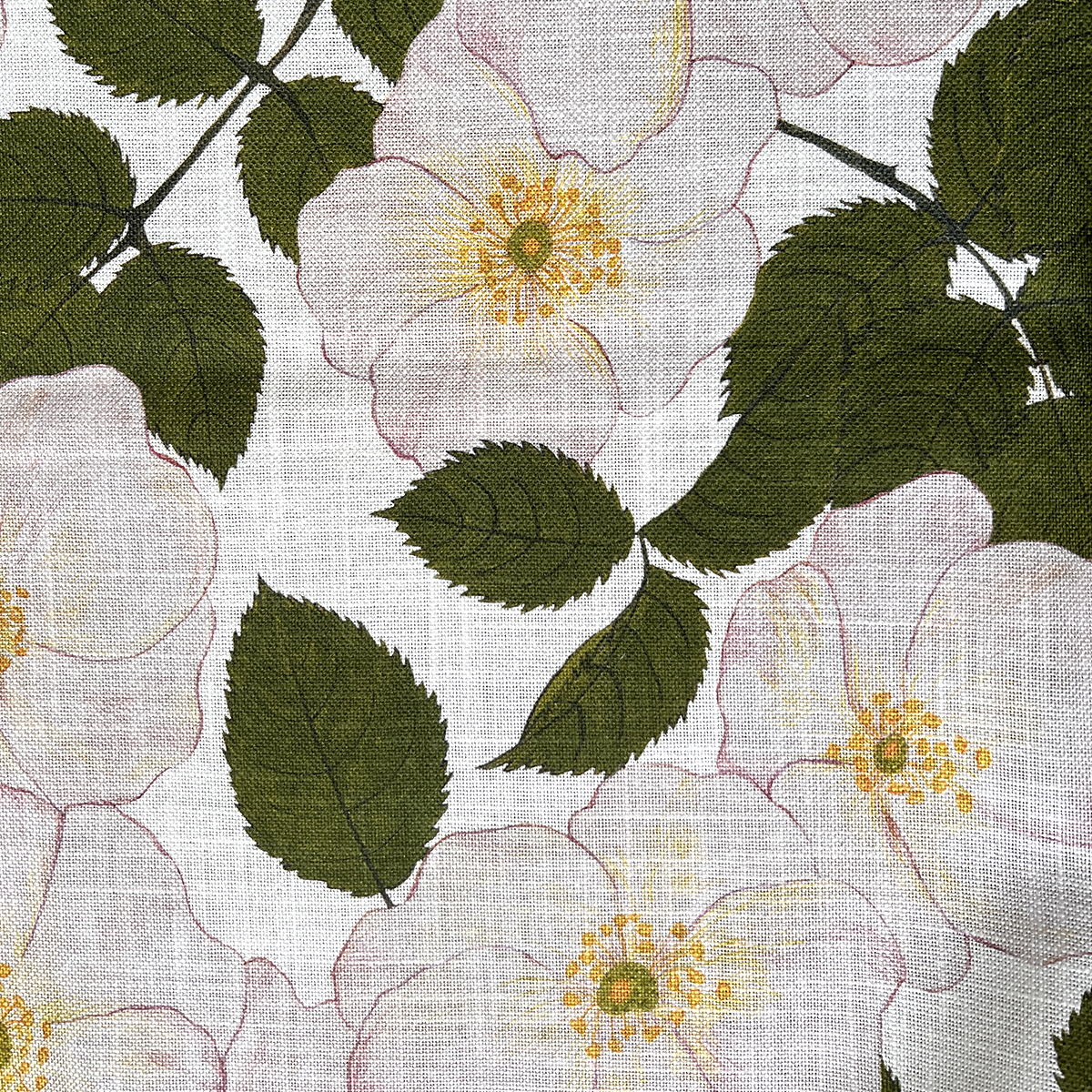Hedgegrow Rosa Fabric SAMPLE | Colour: Natural