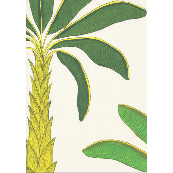 Tropical SAMPLE | Colour: Porcelain Earth White