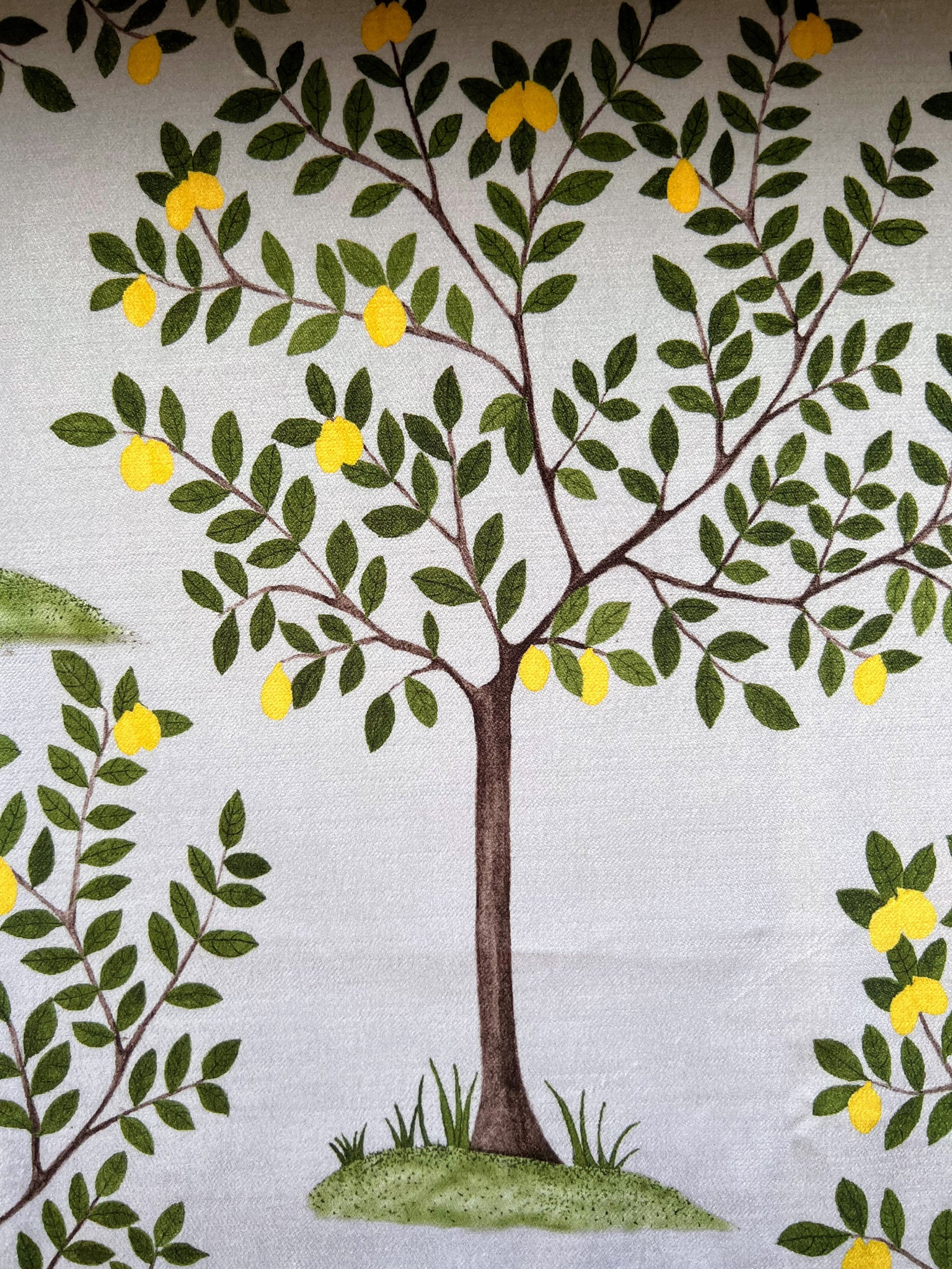 Lemon Grove Fabric SAMPLE | Colour: Olive Green