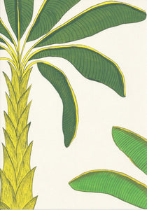 Tropical Wallpaper SAMPLE A4 size (approx)| Colour: Porcelain Earth White