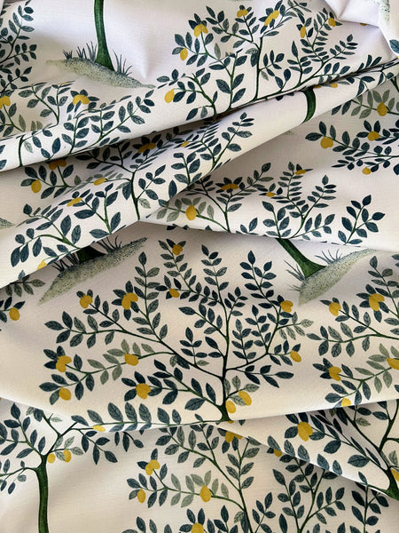 Designer Lemon Grove Fabric | Colour: Green